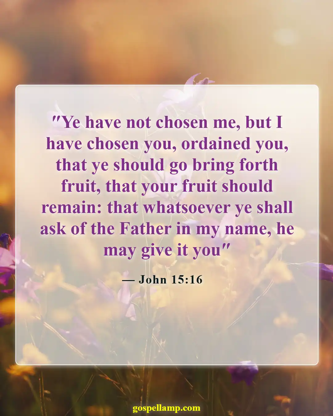 John 15:16 :- Chosen for a purpose, bear lasting fruit