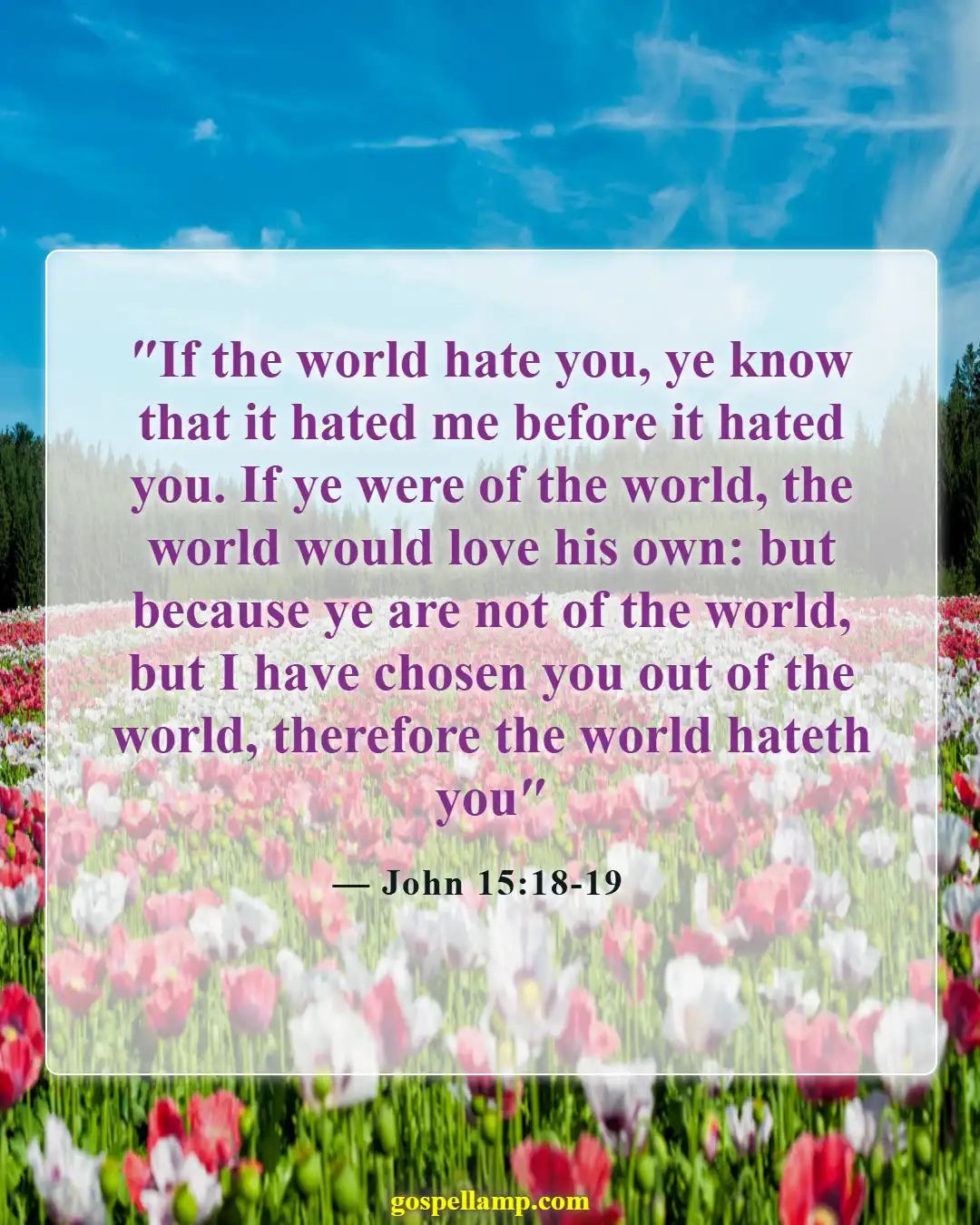 John 15:18-19 :- World's hatred towards those who follow Christ