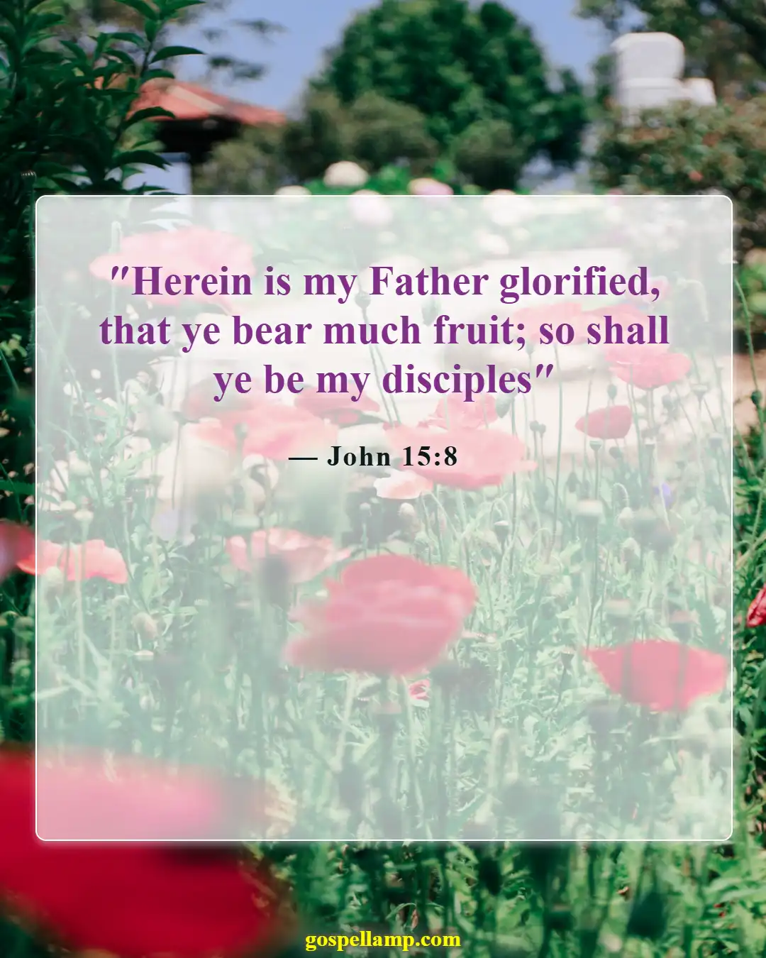 Bible Verses About Bearing Fruit (John 15:8)