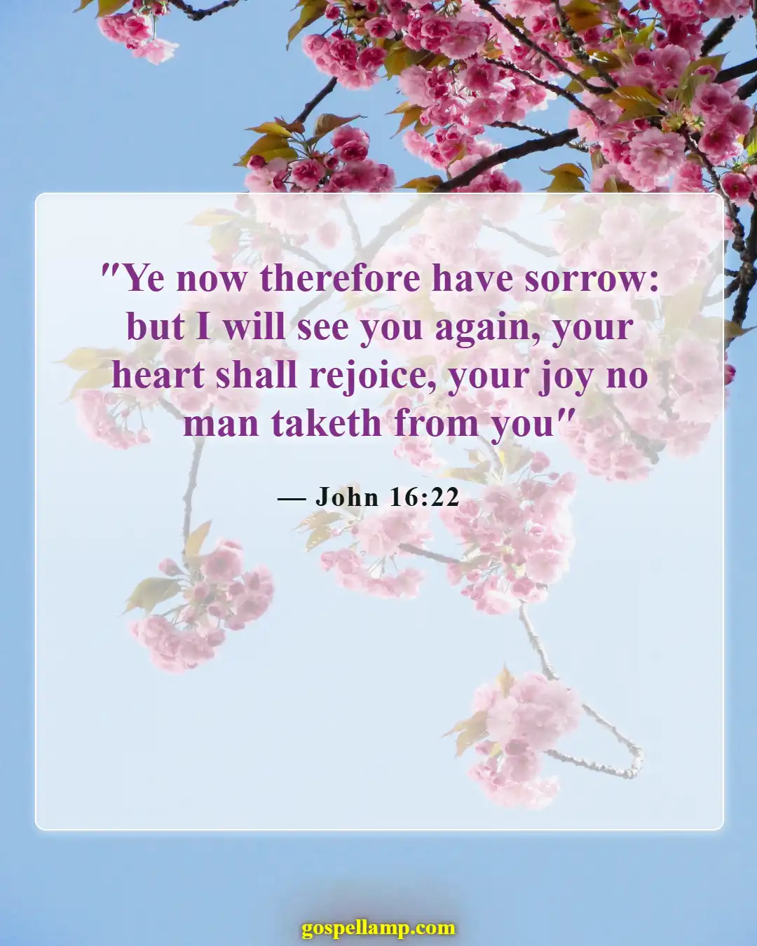 John 16:22 :- Joy after sorrow in Jesus' return