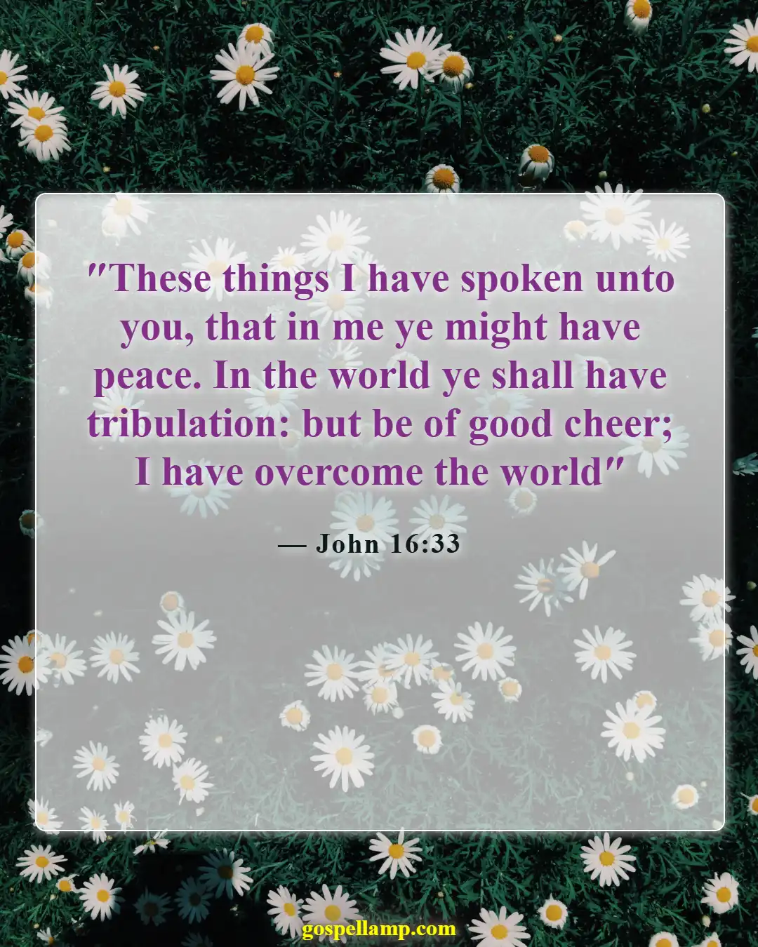 John 16:33 :- Overcoming tribulations with future hope in Christ