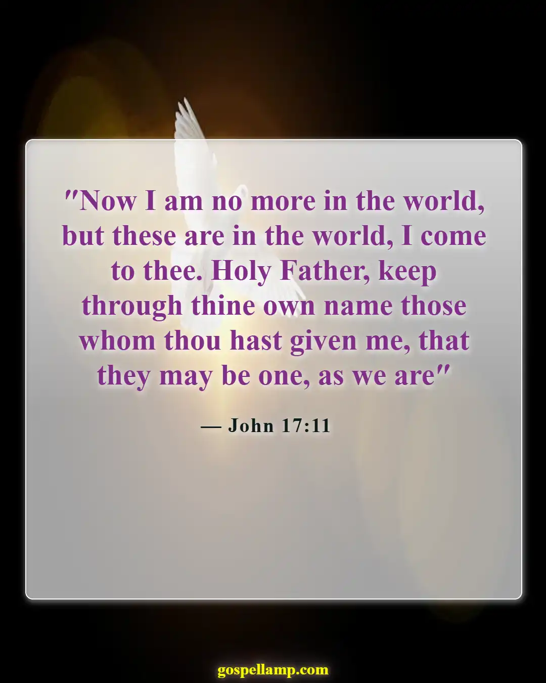 Bible Verses About Division (John 17:11)
