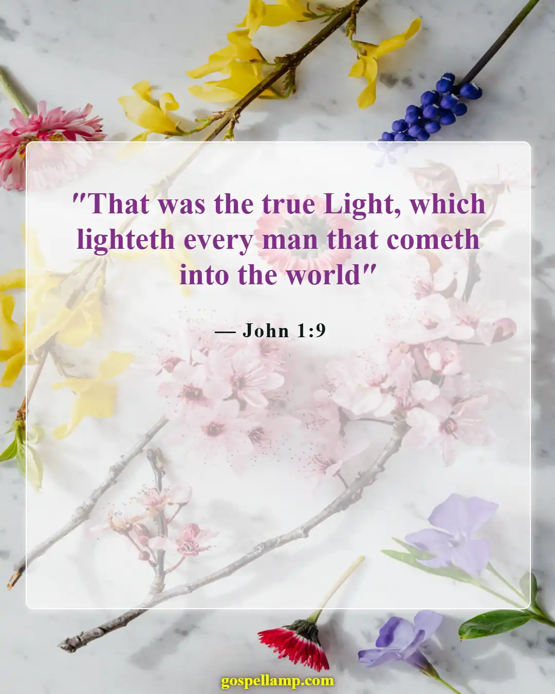 John 1:9 :- Light that brings forgiveness to all mankind