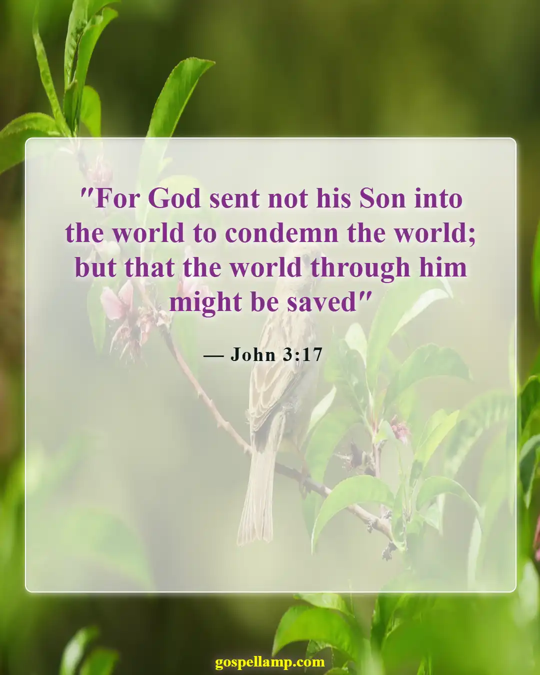 Bible Verses About Eternal Life In Hell (John 3:17)