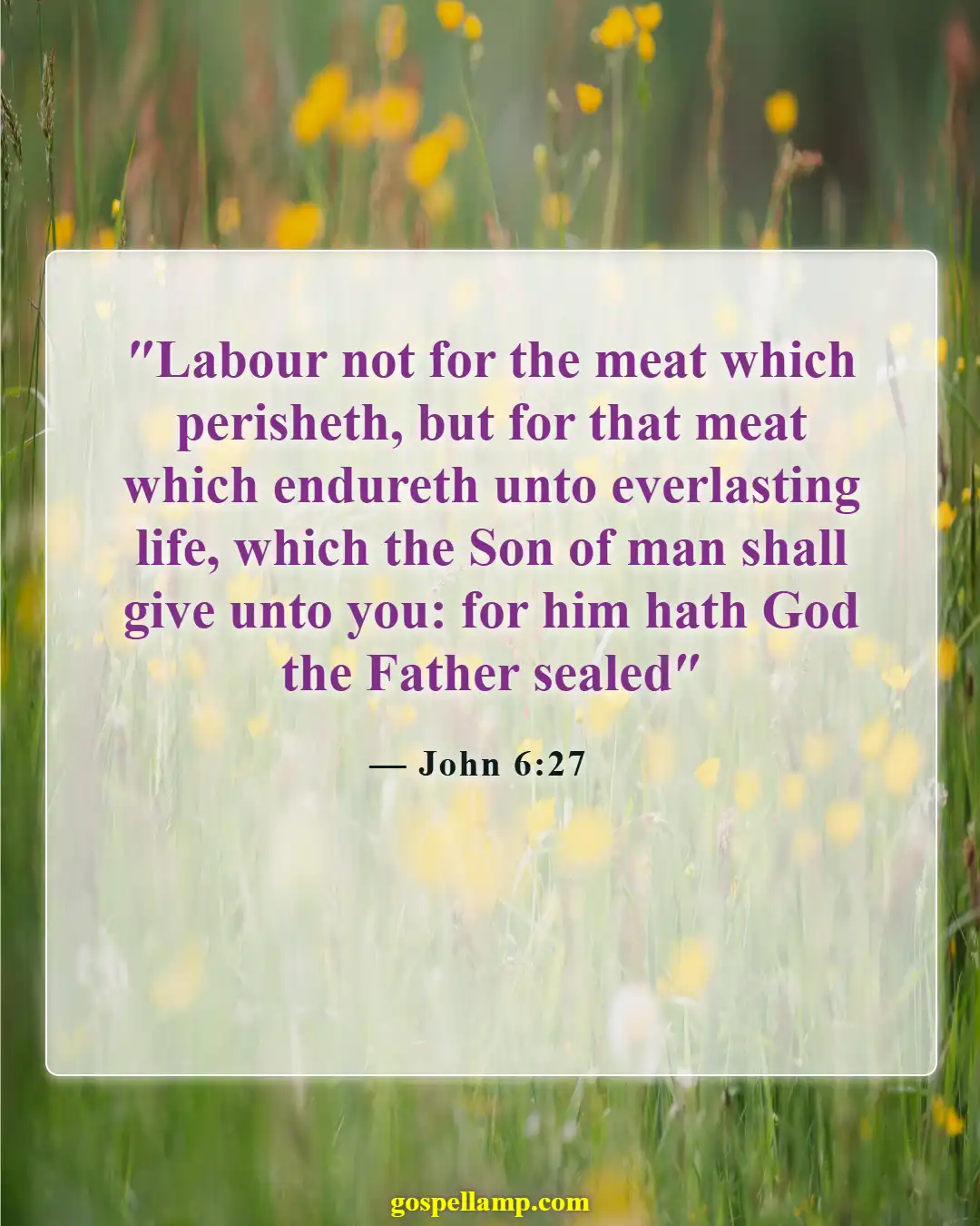 Bible Verses About Greed And Selfishness (John 6:27)