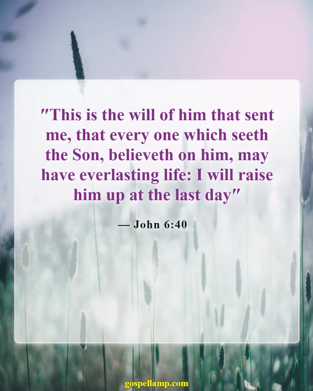 Bible Verses About God Saving Us From Hell (John 6:40)