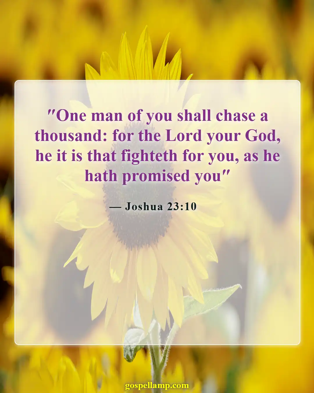 Bible Verses About Enemies Defeated (Joshua 23:10)
