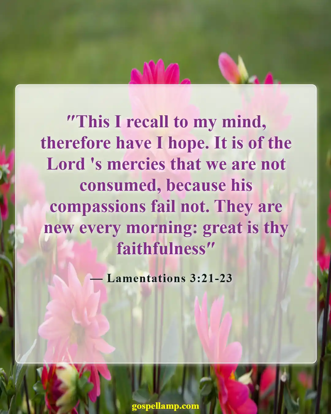 Lamentations 3:21-23 :- Renewed hope in God's steadfast love