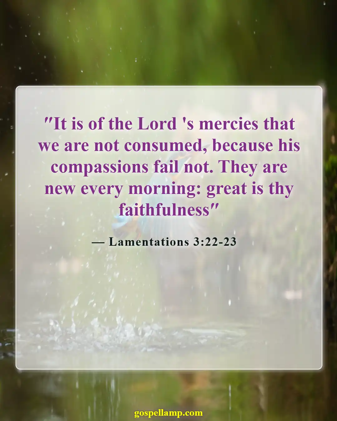 Lamentations 3:22-23 :- God's mercies renew each morning faithfully