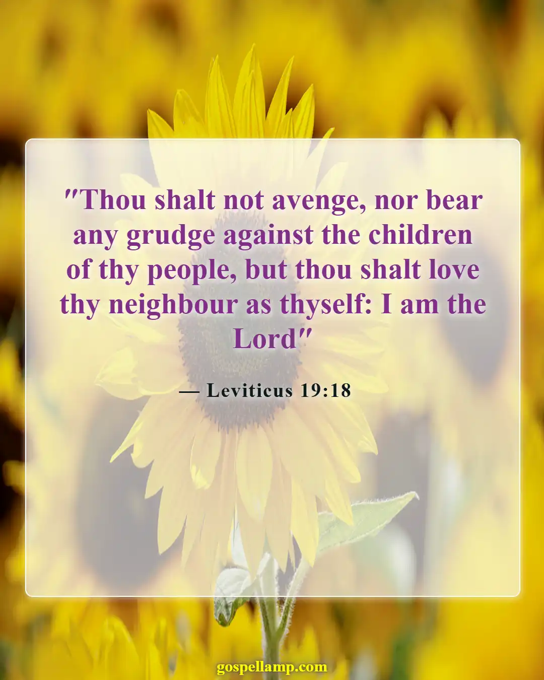 Bible Verses About Respect For Human Life (Leviticus 19:18)