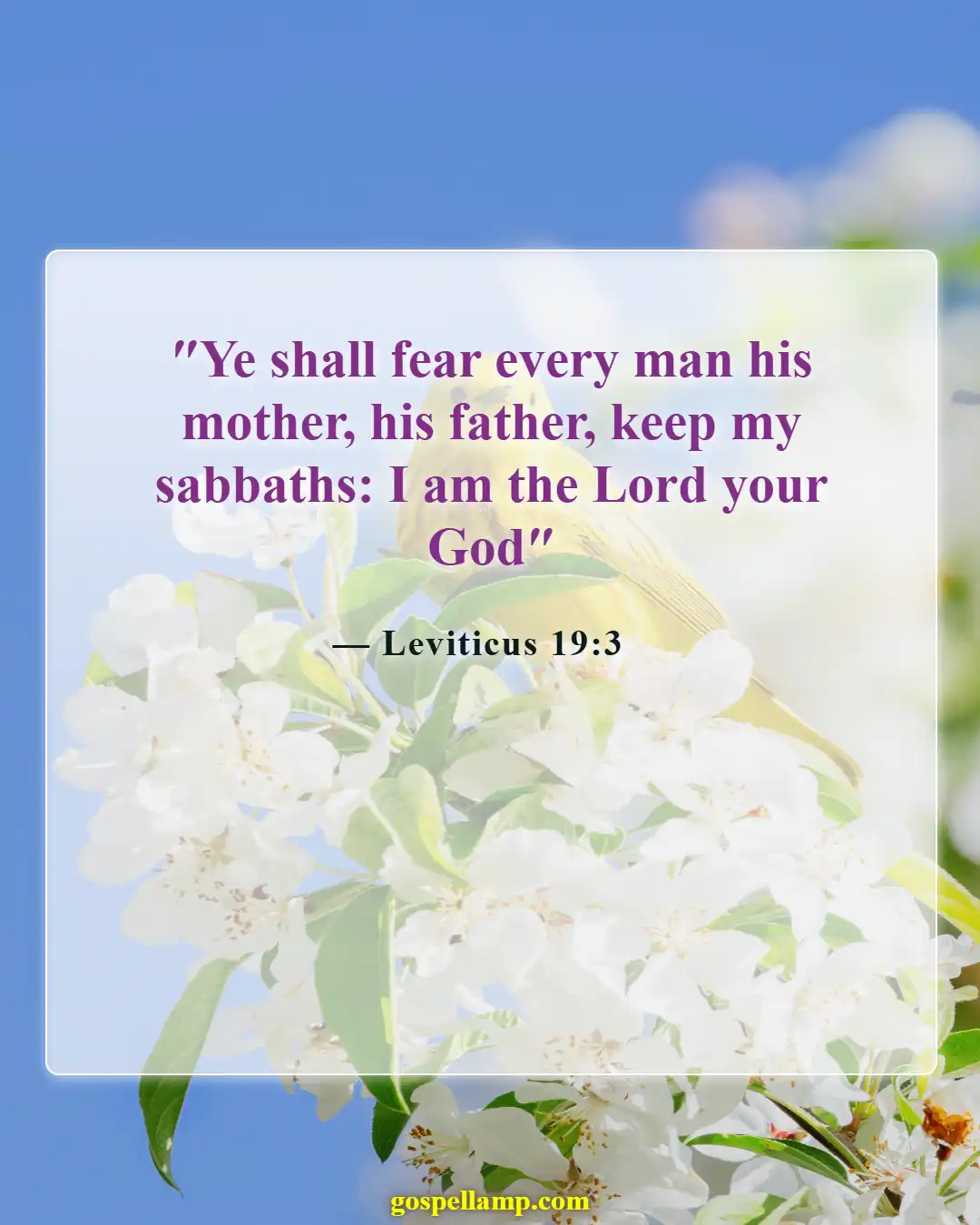 Leviticus 19:3 :- Honor your parents, a divine commandment