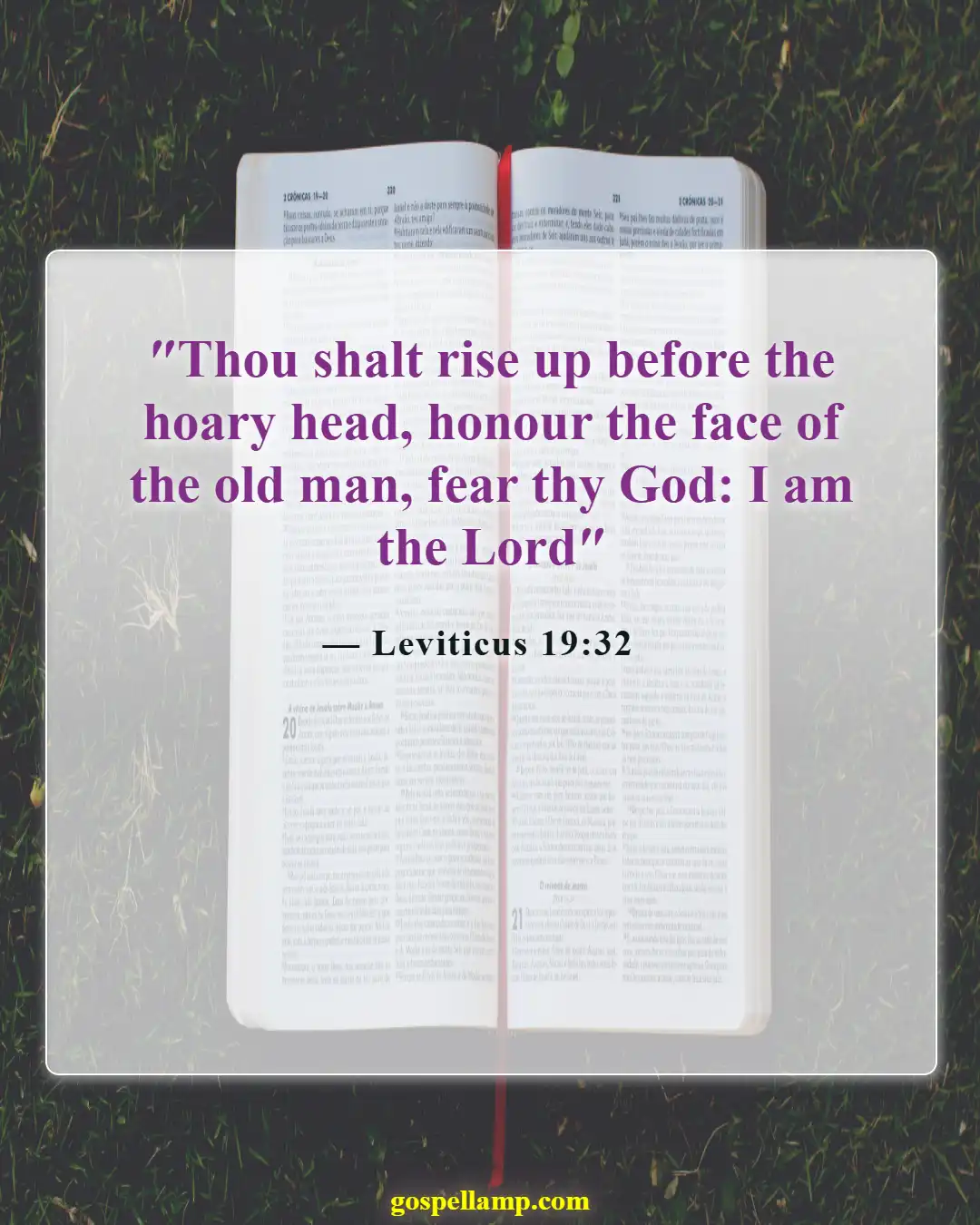 Bible Verses About Gratitude For Family (Leviticus 19:32)