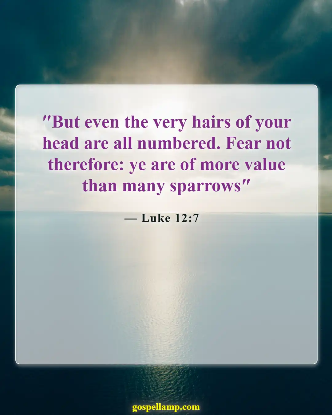 Bible Verses About Physical Appearance (Luke 12:7)