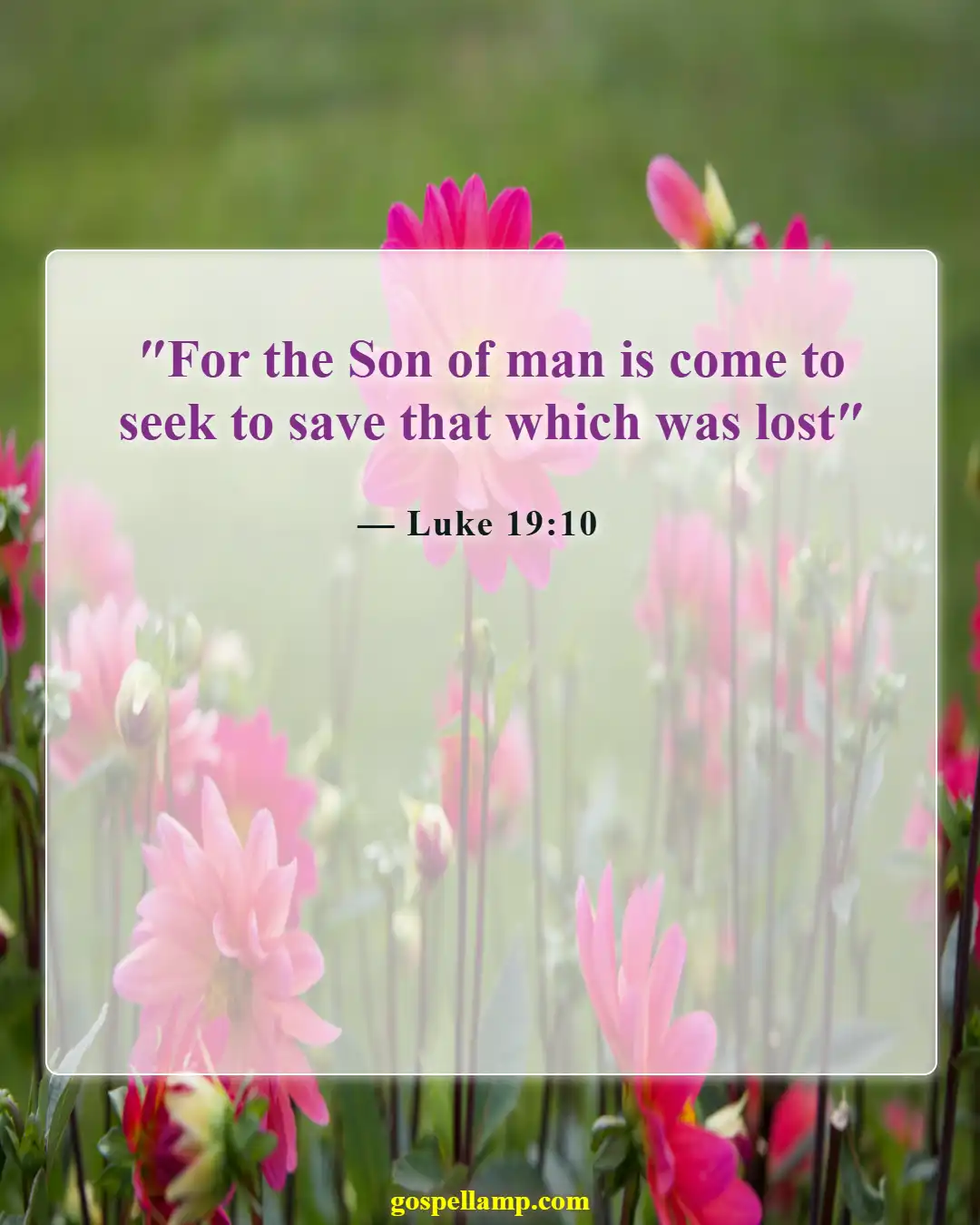 Bible Verses About Missions And Evangelism (Luke 19:10)