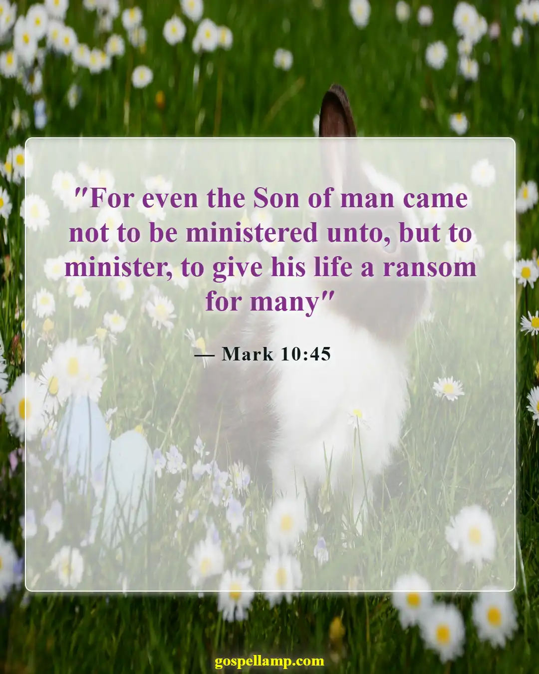Bible Verses About Putting Others First (Mark 10:45)