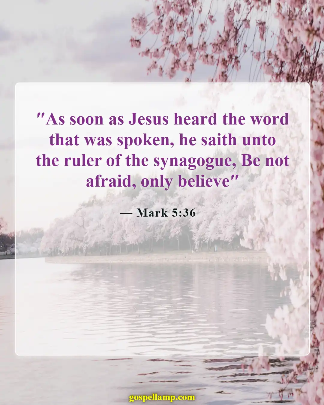 Bible Verses About Scared And Worried (Mark 5:36)
