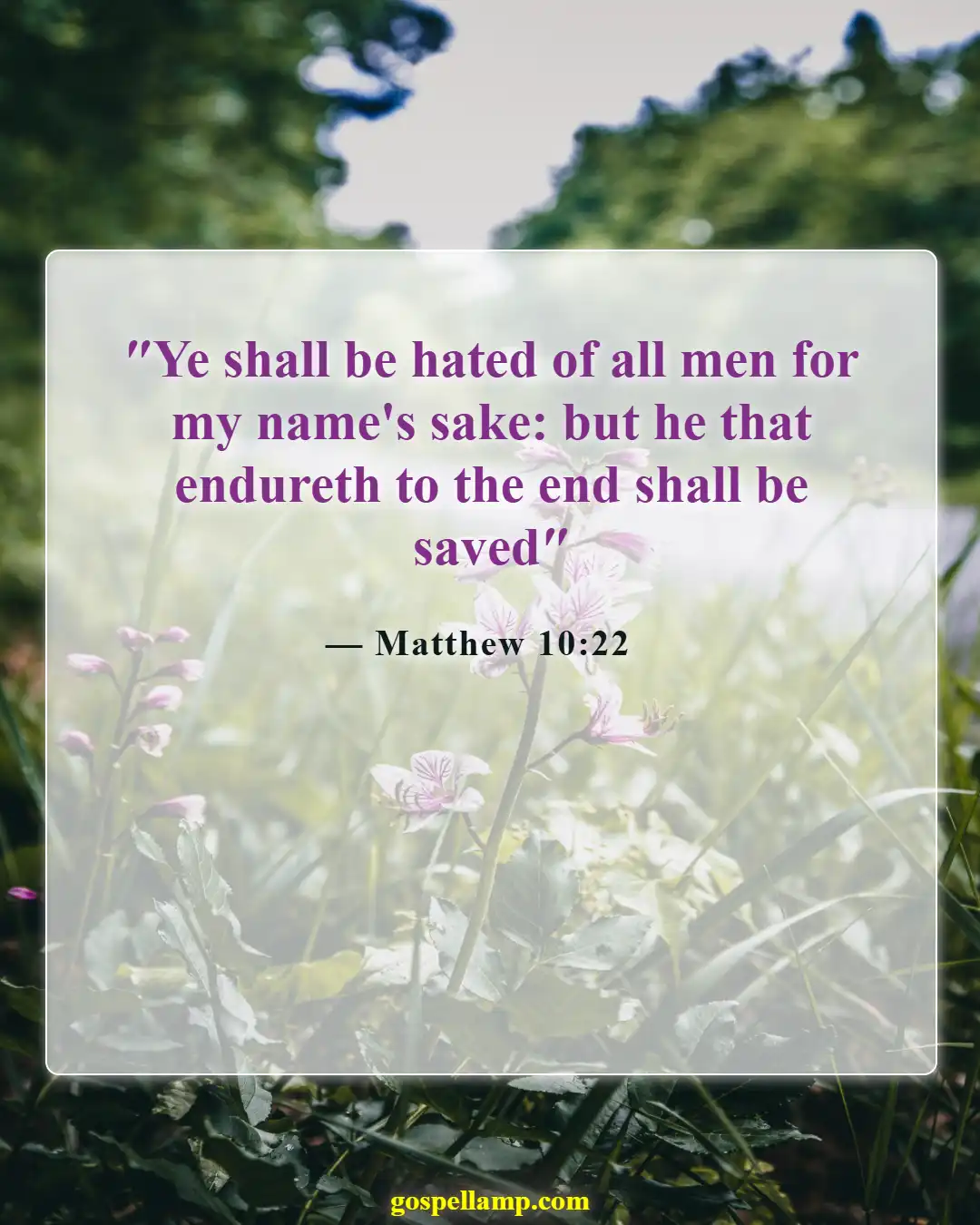 Matthew 10:22 :- Endurance amidst betrayal and opposition