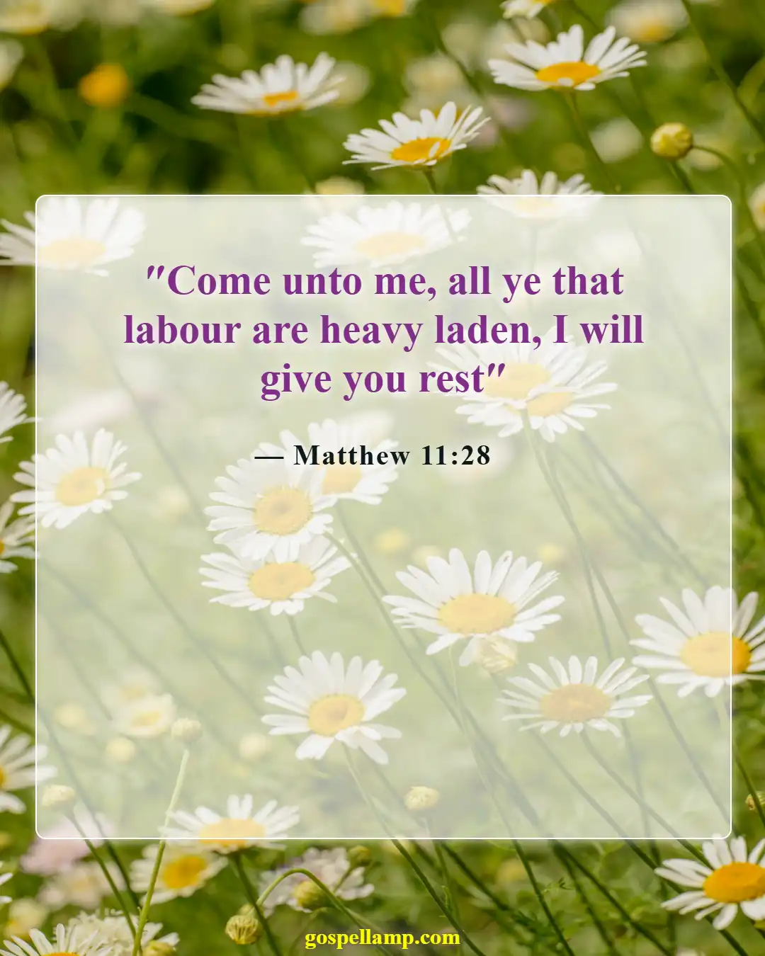 Bible Verses About Hardships And Problems (Matthew 11:28)