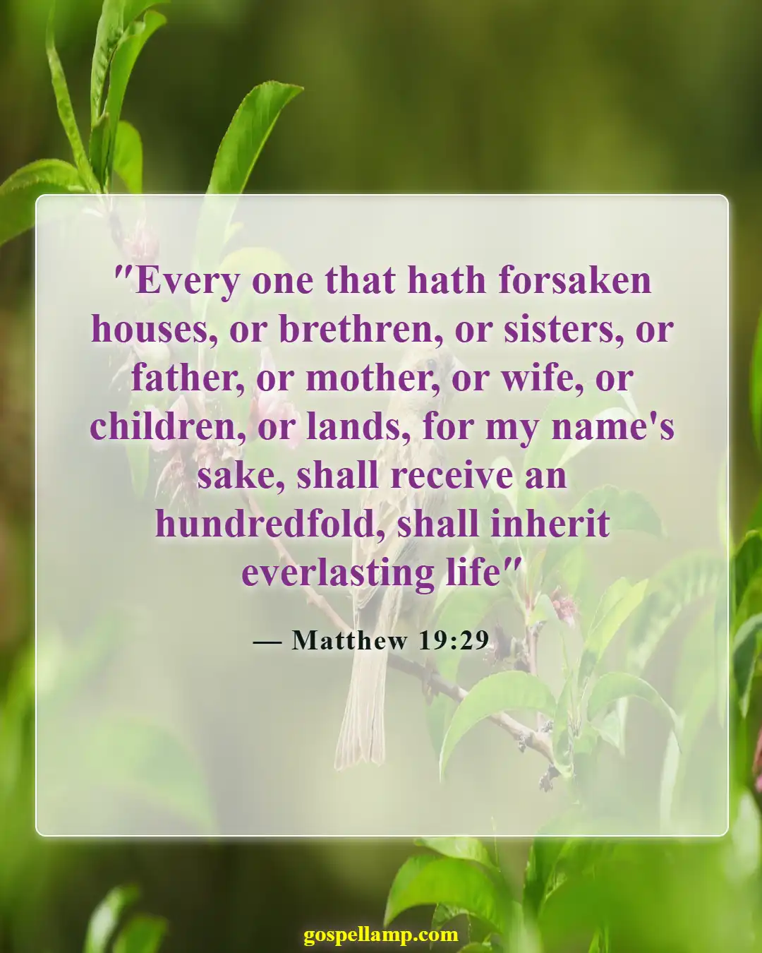 Bible Verses About Rewards In Heaven (Matthew 19:29)