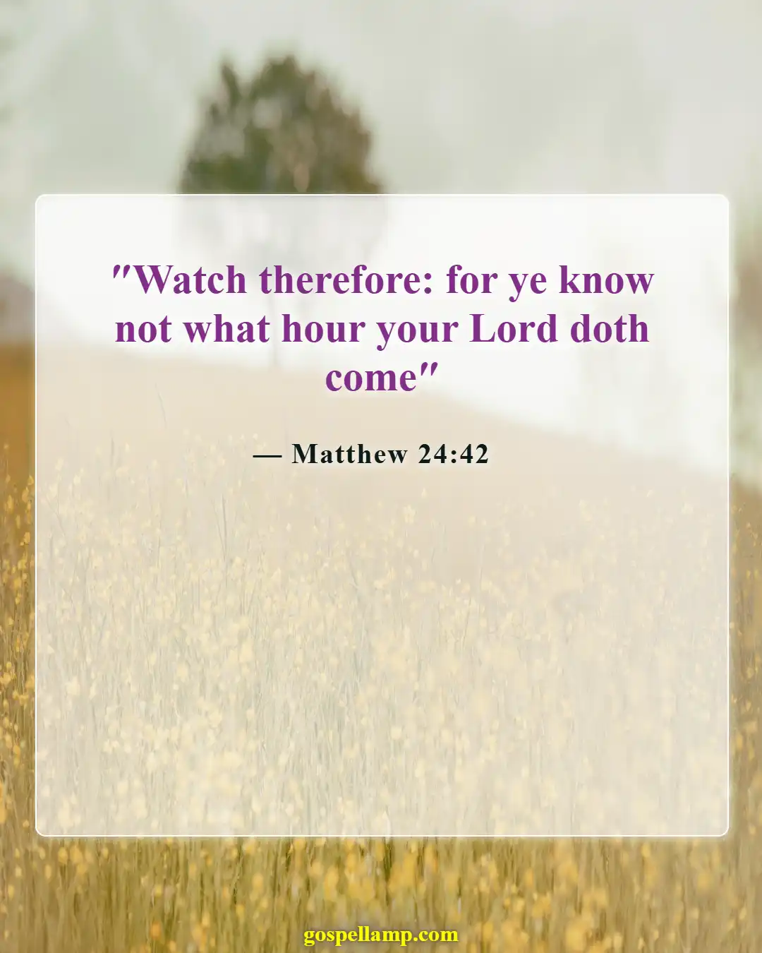 Matthew 24:42 :- Be watchful for the Lord's return