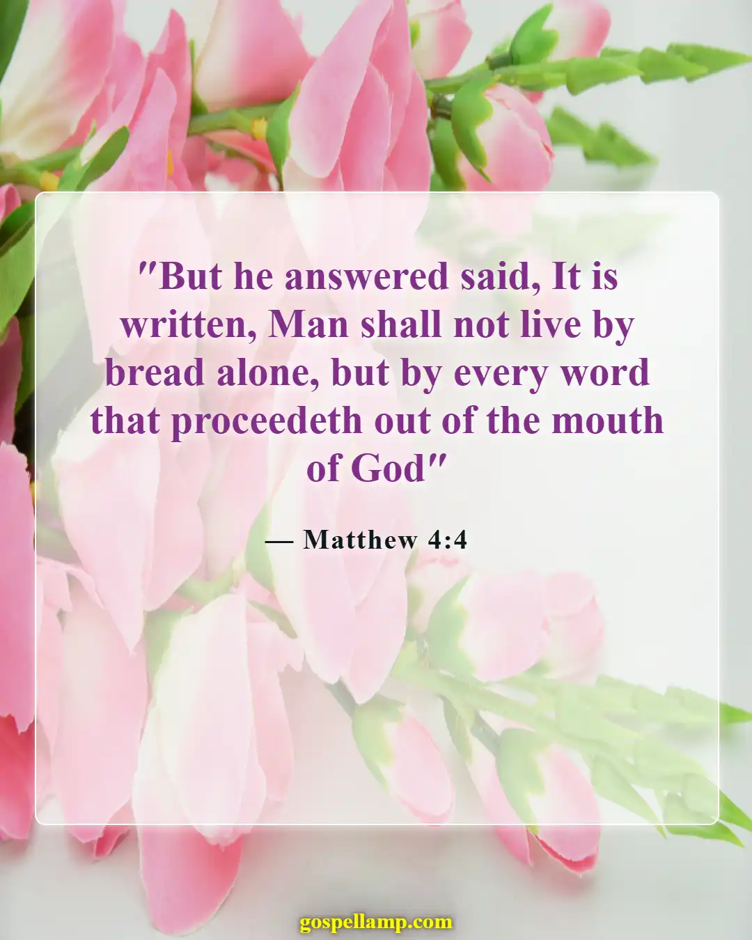 Matthew 4:4 :- God's Word sustains us in life