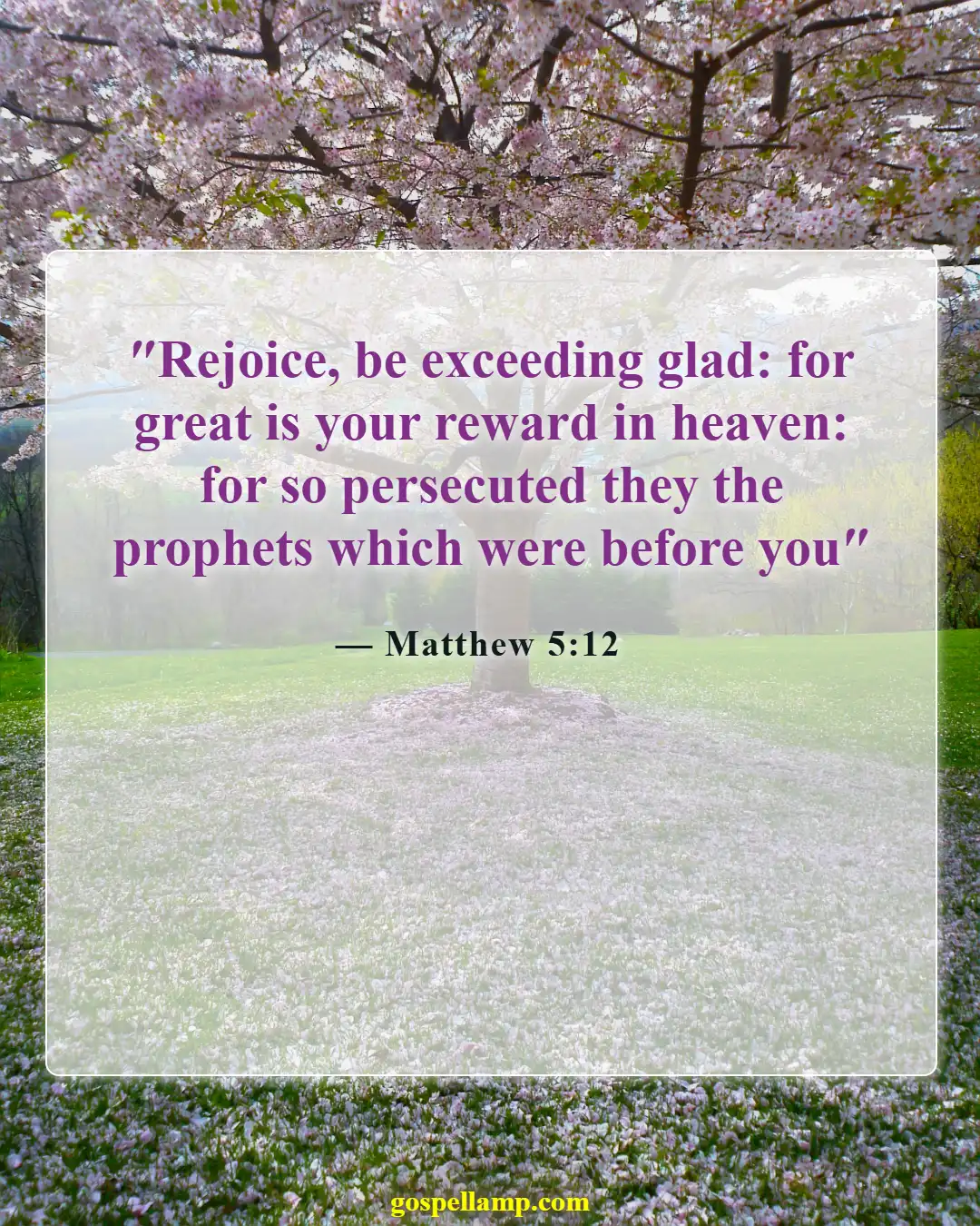 Bible Verses About Actions And Consequences (Matthew 5:12)
