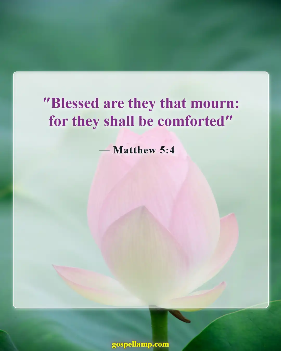 Bible Verses About Letting Go Of Bad Friends (Matthew 5:4)