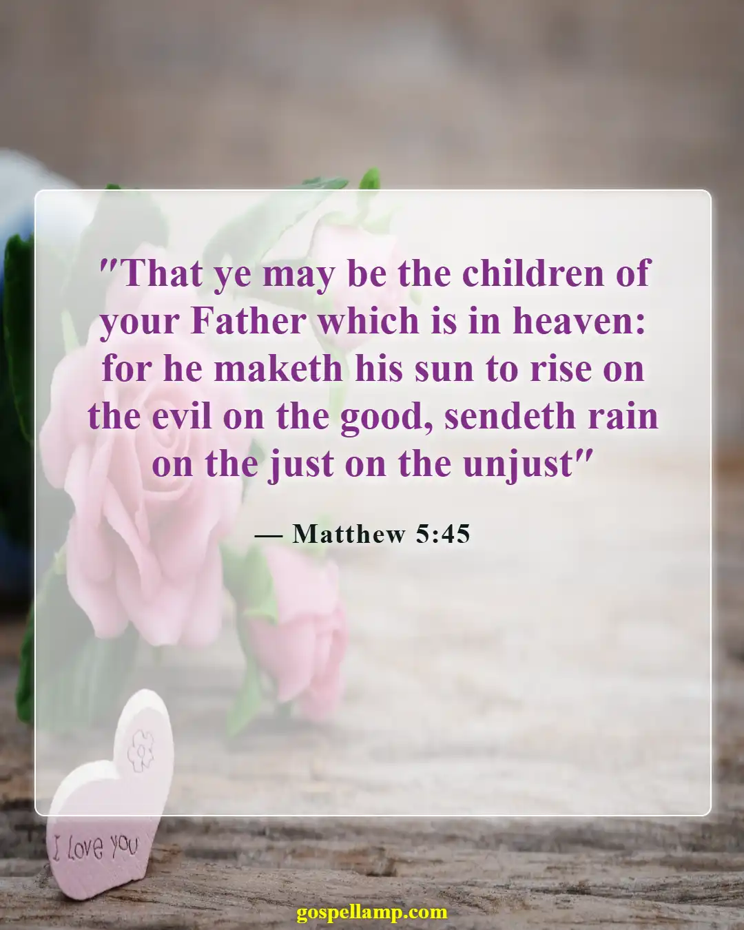 Bible Verses About Sun (Matthew 5:45)