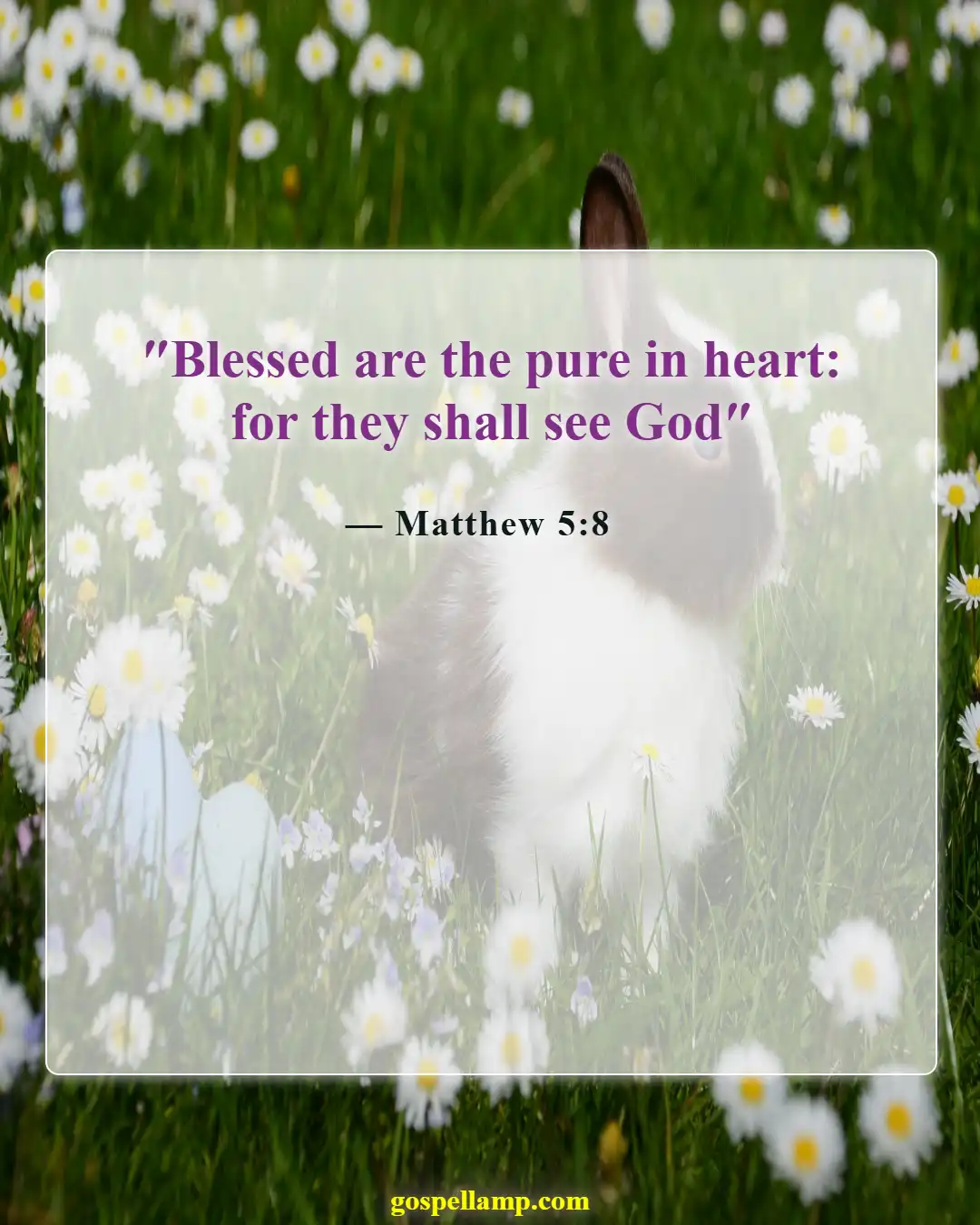 Bible Verses About Excitement (Matthew 5:8)