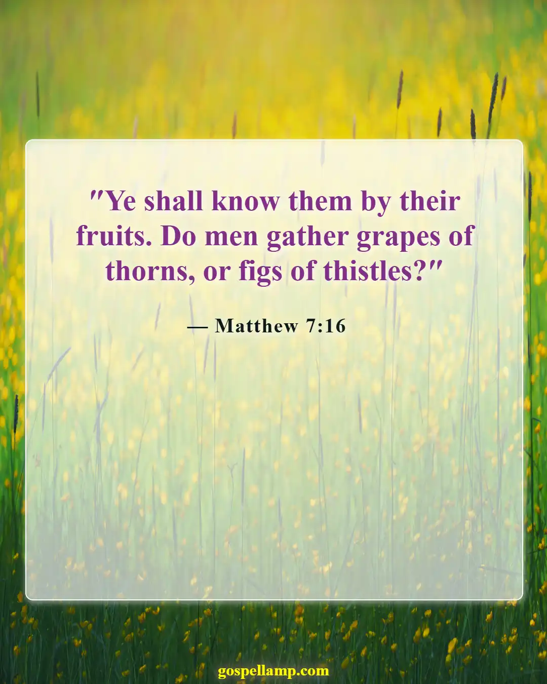 Bible Verses About Bearing Fruit (Matthew 7:16)