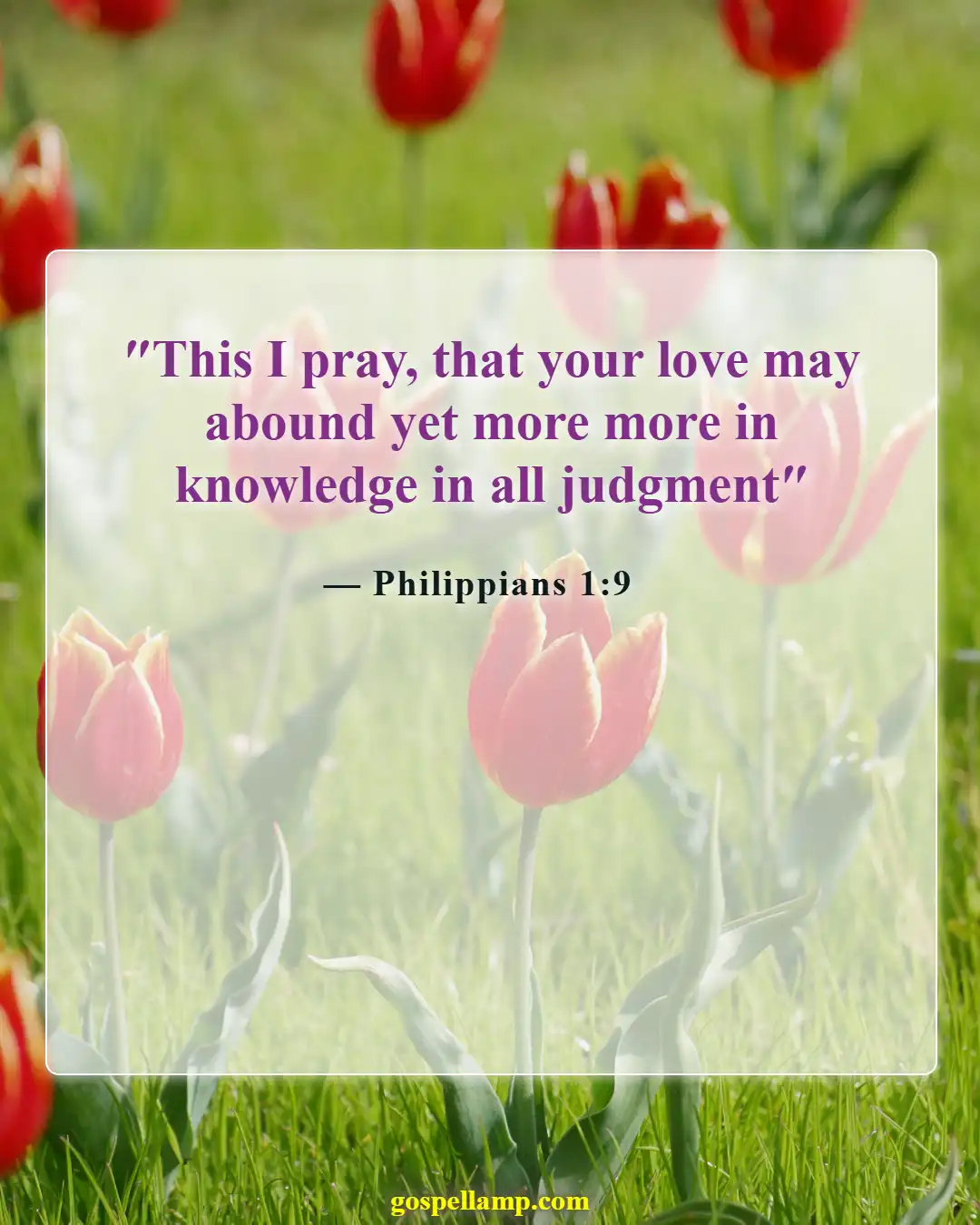 Bible Verses About Love And Compassion (Philippians 1:9)