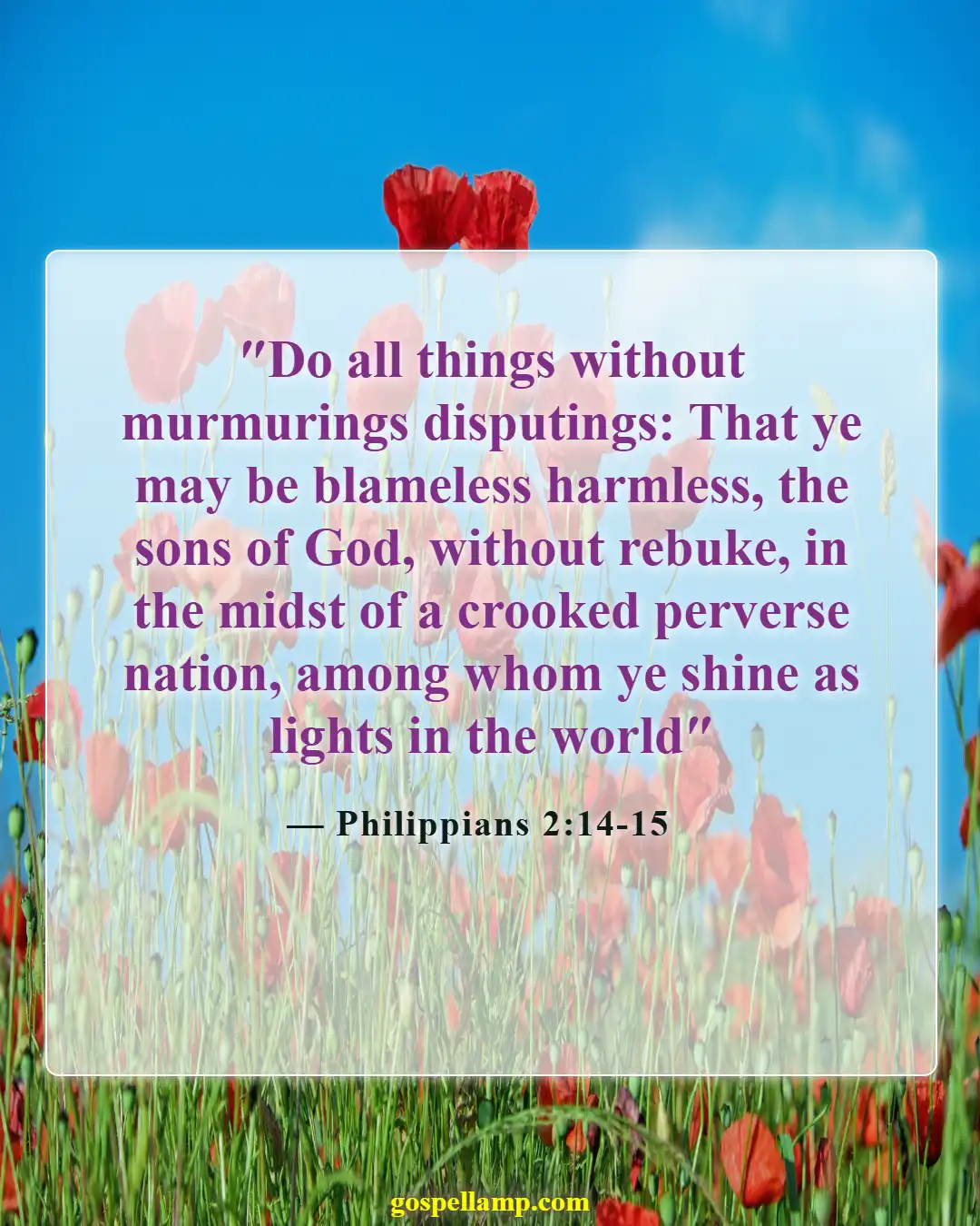 Philippians 2:14-15 :- Shining as lights through faithful actions
