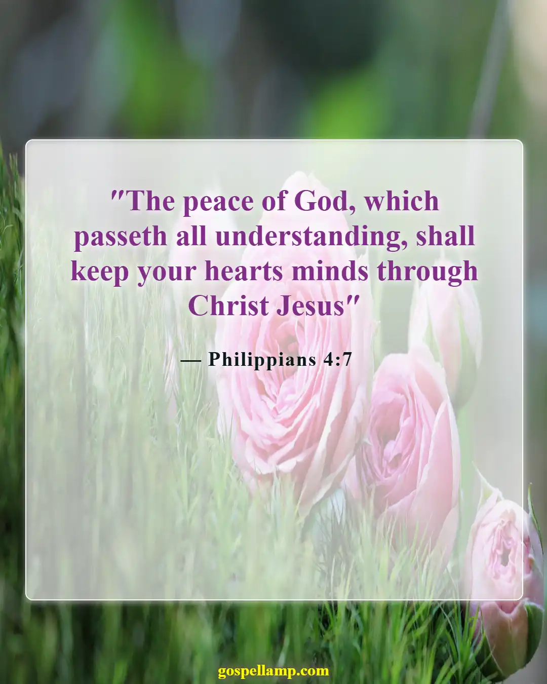 Philippians 4:7 :- Peace guarding hearts and minds from evil