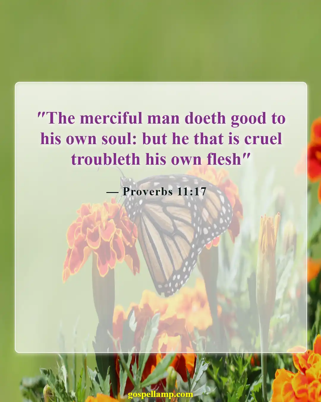 Proverbs 11:17 :- Kindness benefits you, harshness harms others