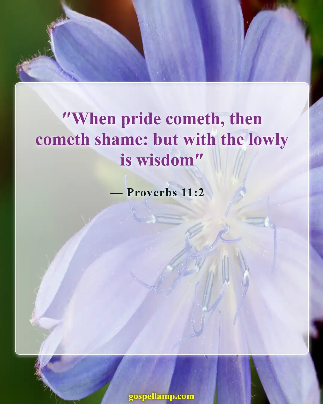 Bible Verses About Apologizing To Someone (Proverbs 11:2)