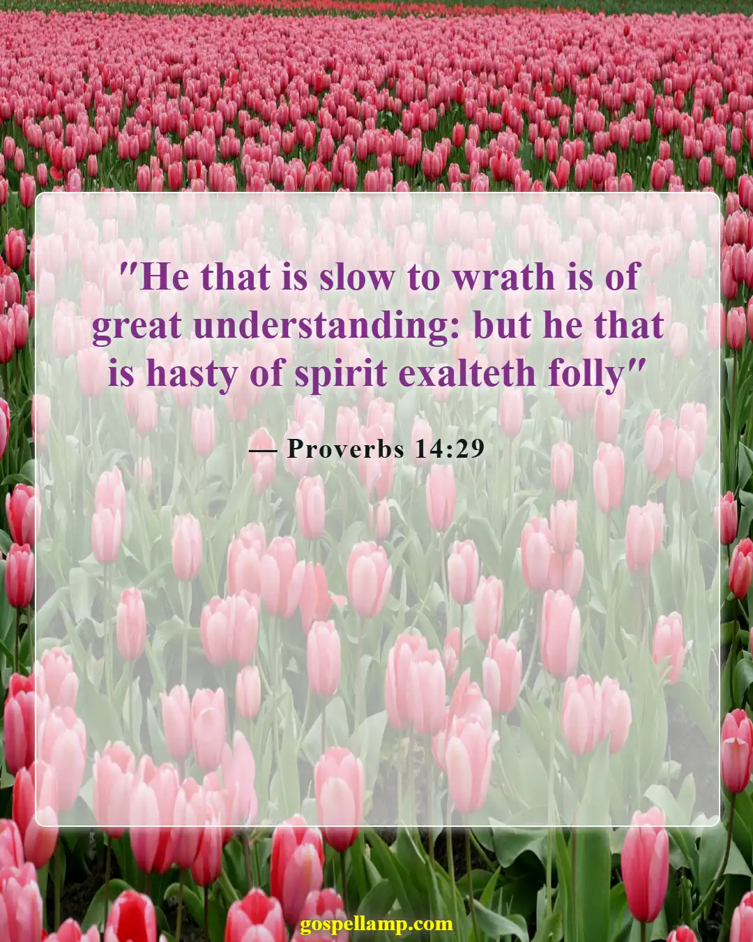 Proverbs 14:29 :- Wisdom in patience during difficult times