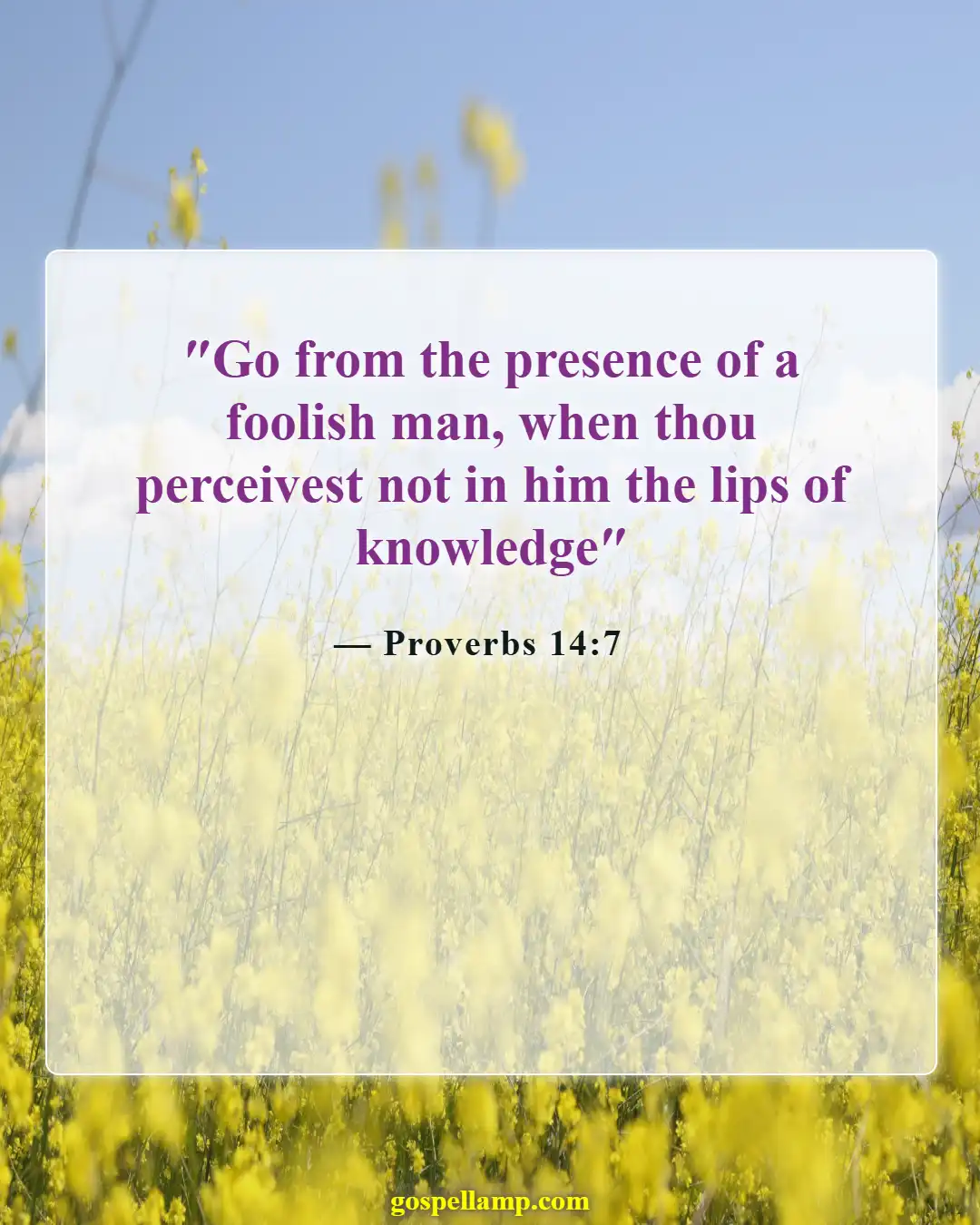 Bible Verses About Stupidity (Proverbs 14:7)
