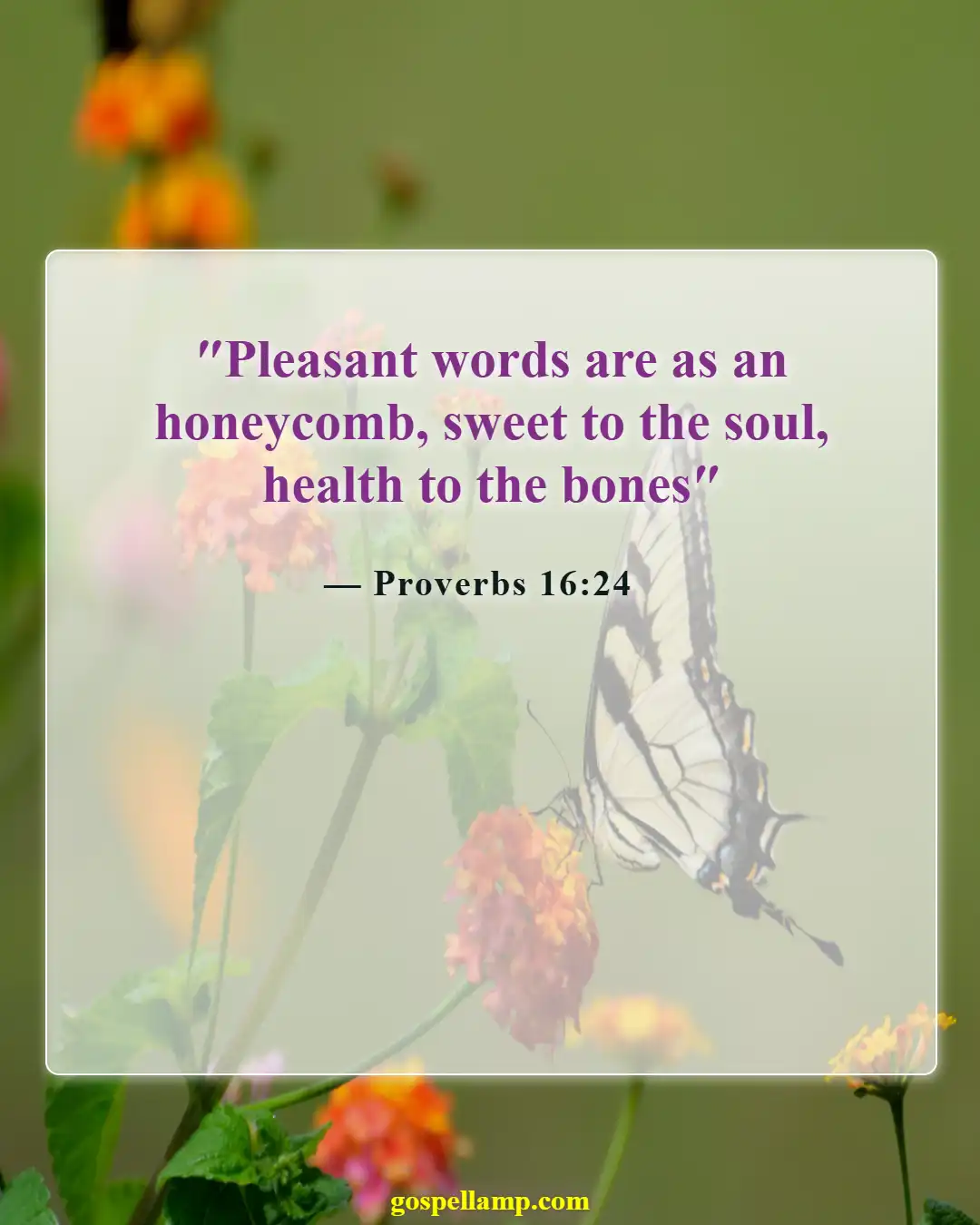 Bible Verses About Apologizing To Someone (Proverbs 16:24)
