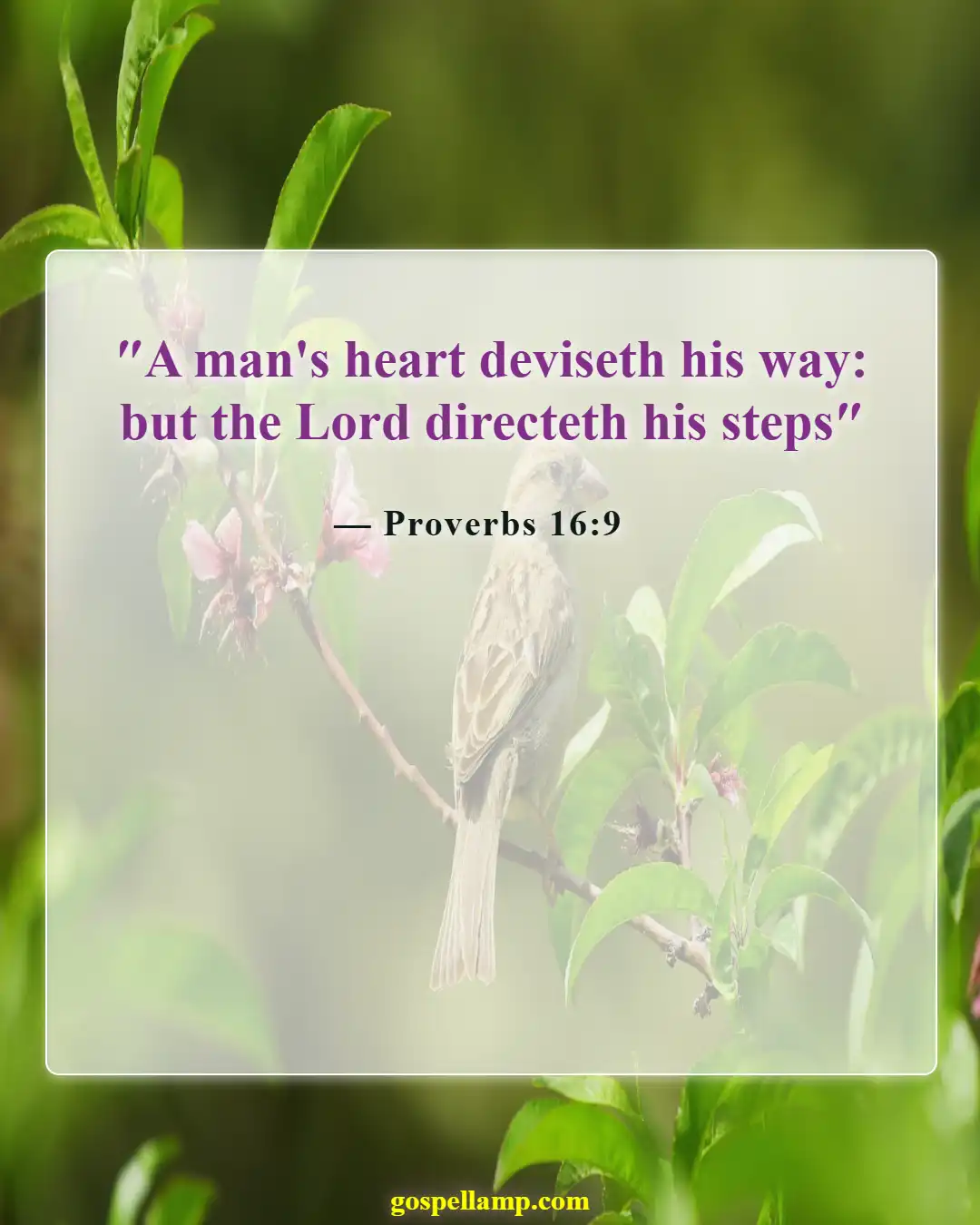Proverbs 16:9 :- God guides, but we choose our path