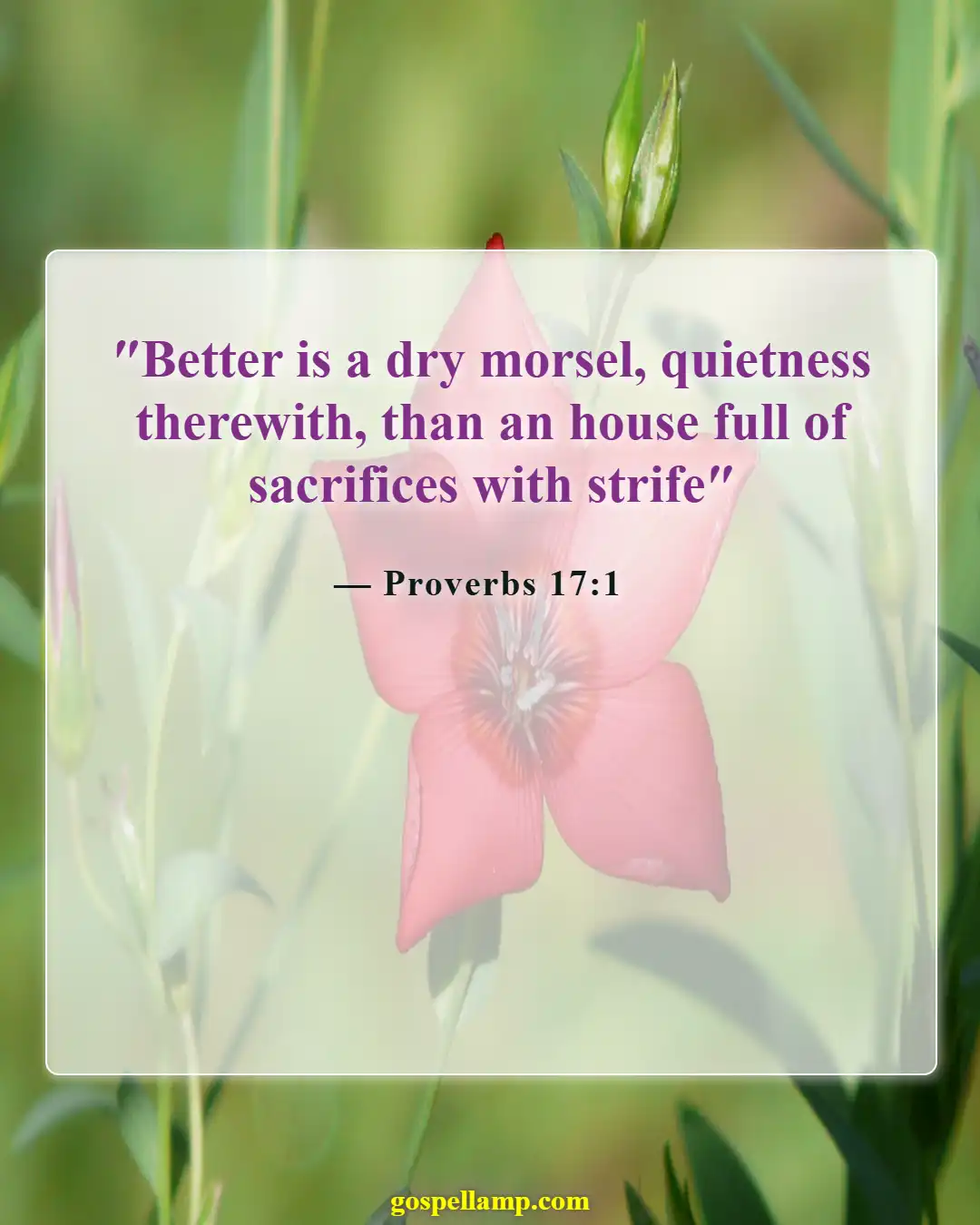 Bible Verses About Family Conflict (Proverbs 17:1)
