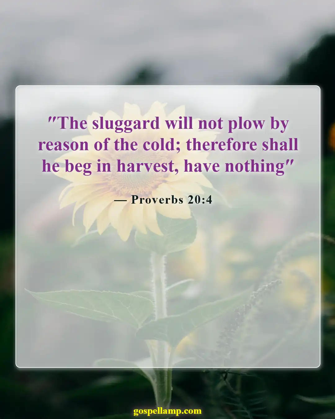 Bible Verses About Farming (Proverbs 20:4)