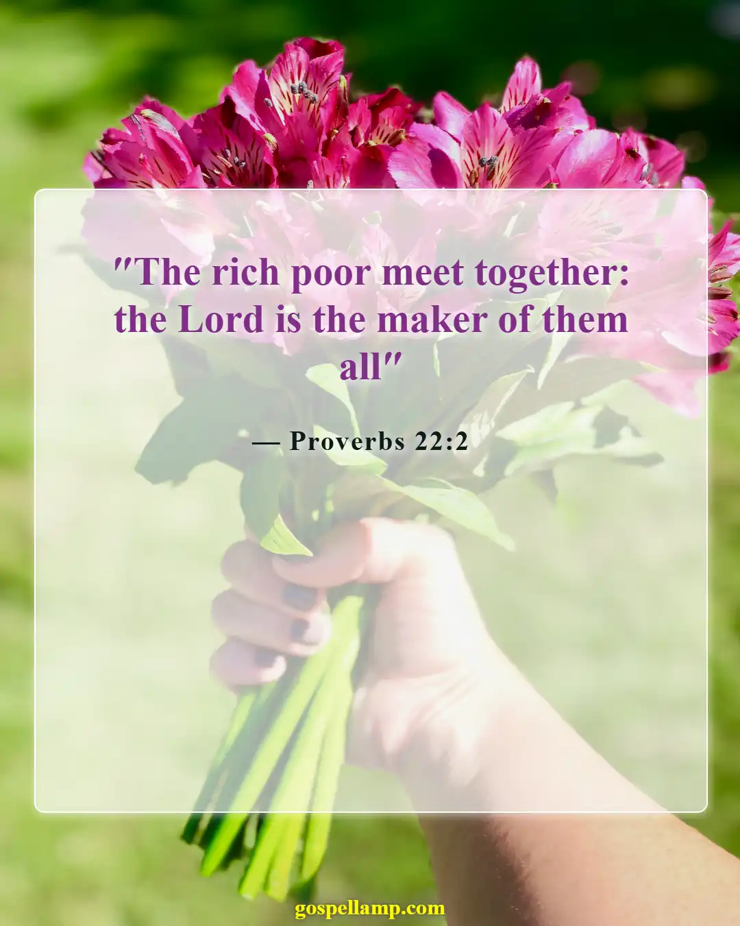 Bible Verses About Respect For Human Life (Proverbs 22:2)