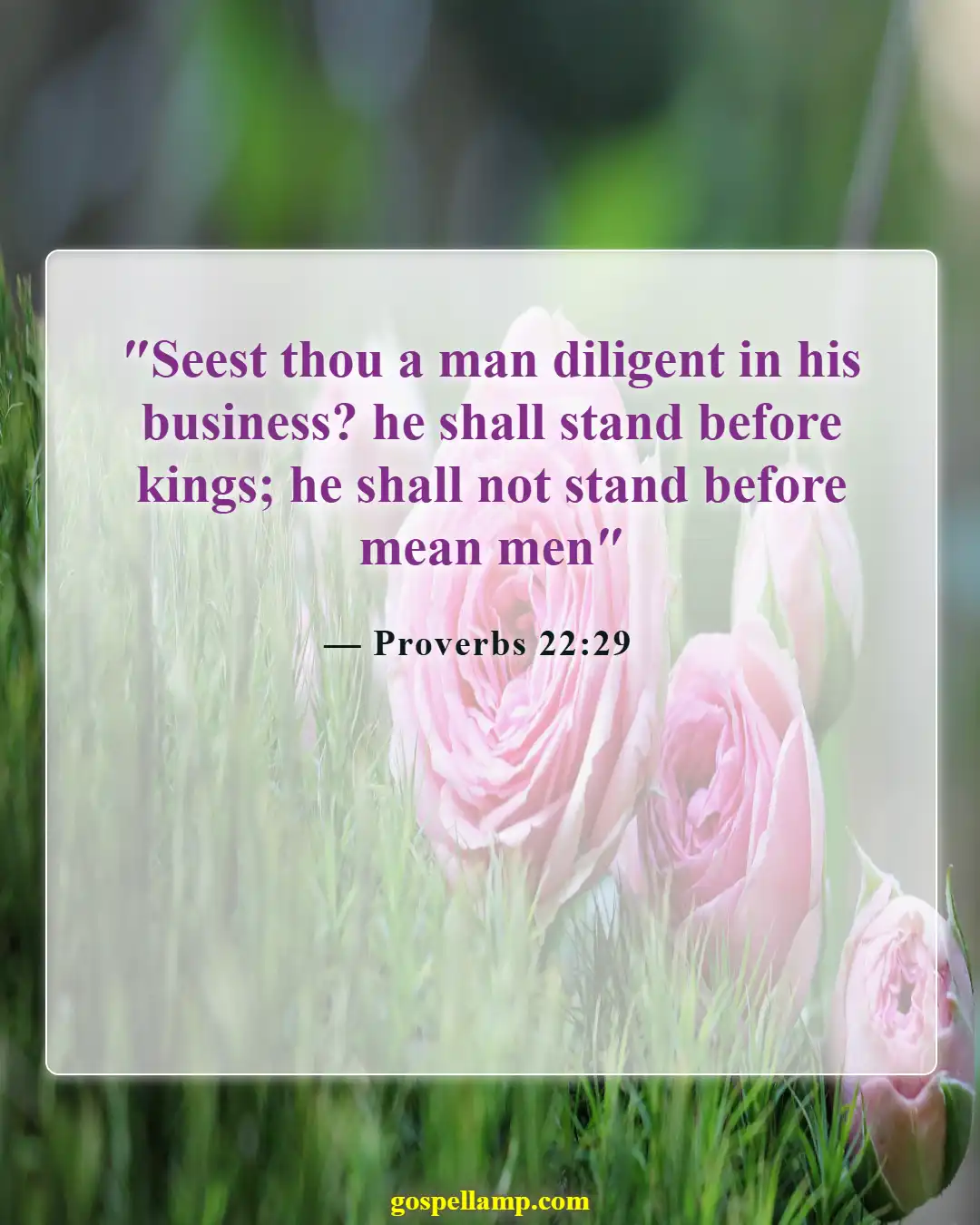 Proverbs 22:29 :- Diligence and skill mark a capable leader