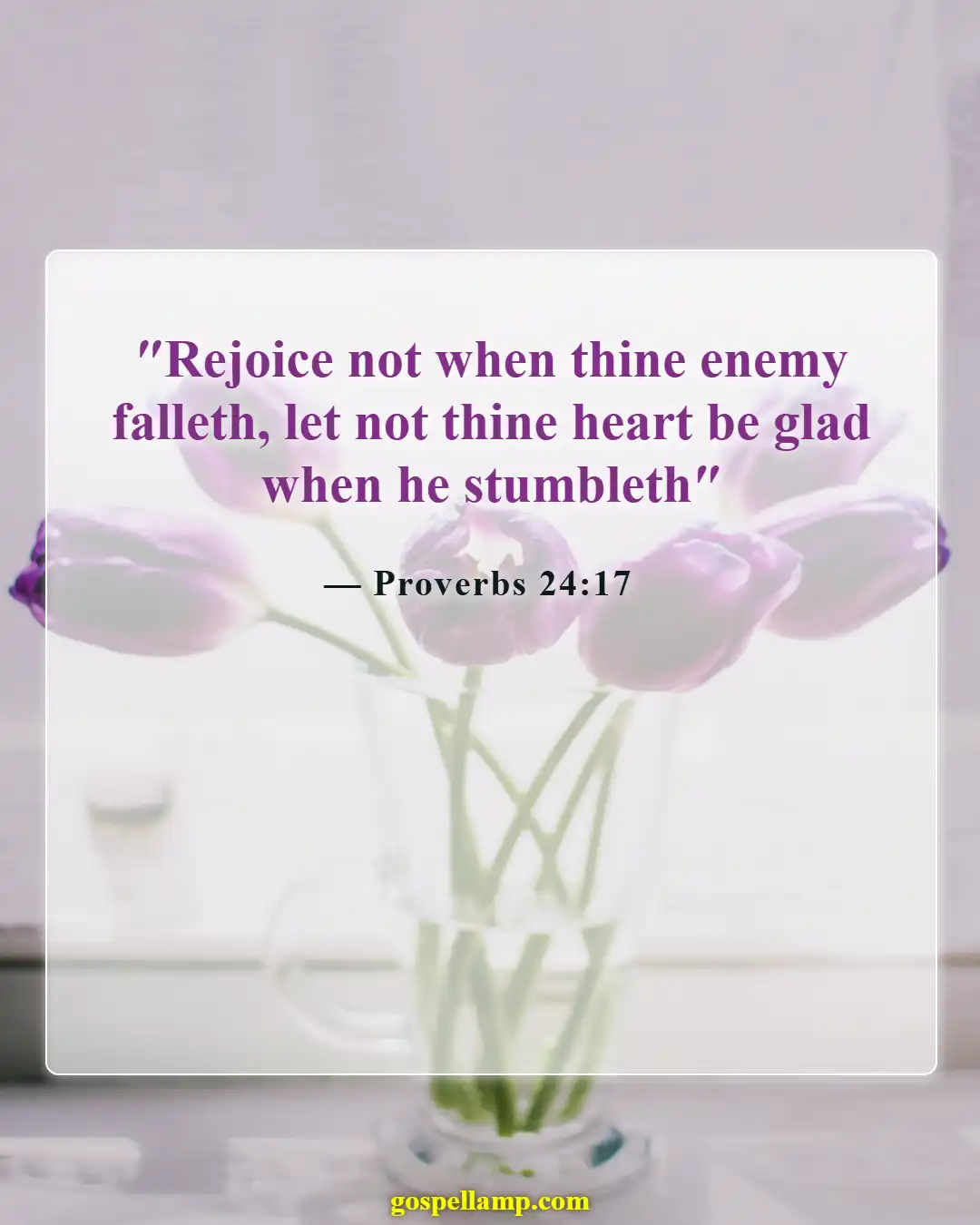 Bible Verses About Bless Those Who Persecute You (Proverbs 24:17)