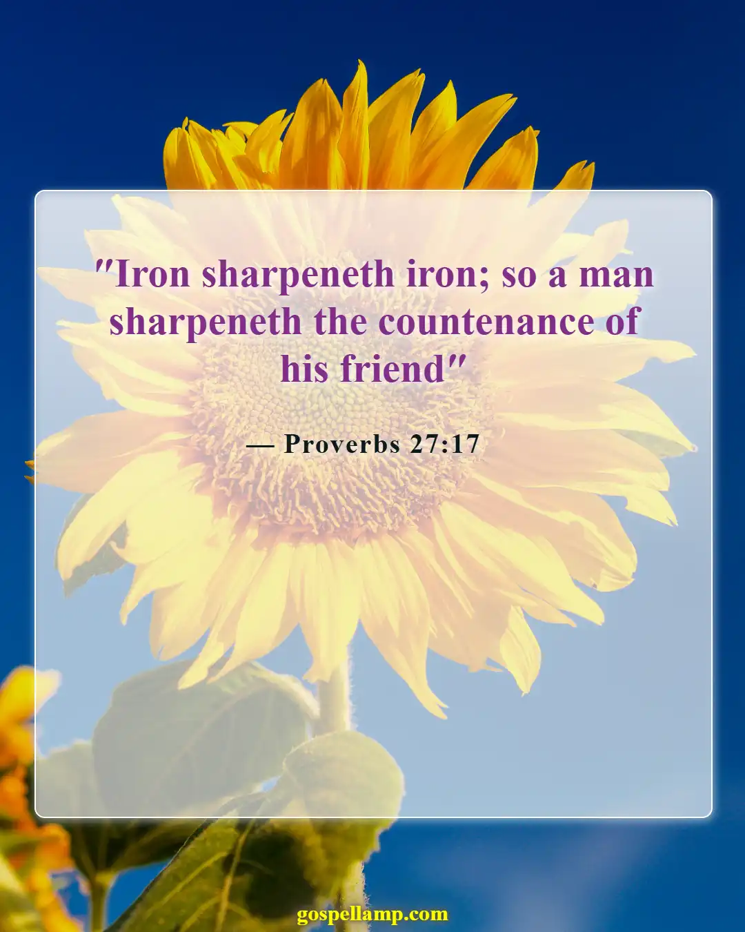 Proverbs 27:17 :- Iron sharpens iron, mutual growth encouraged