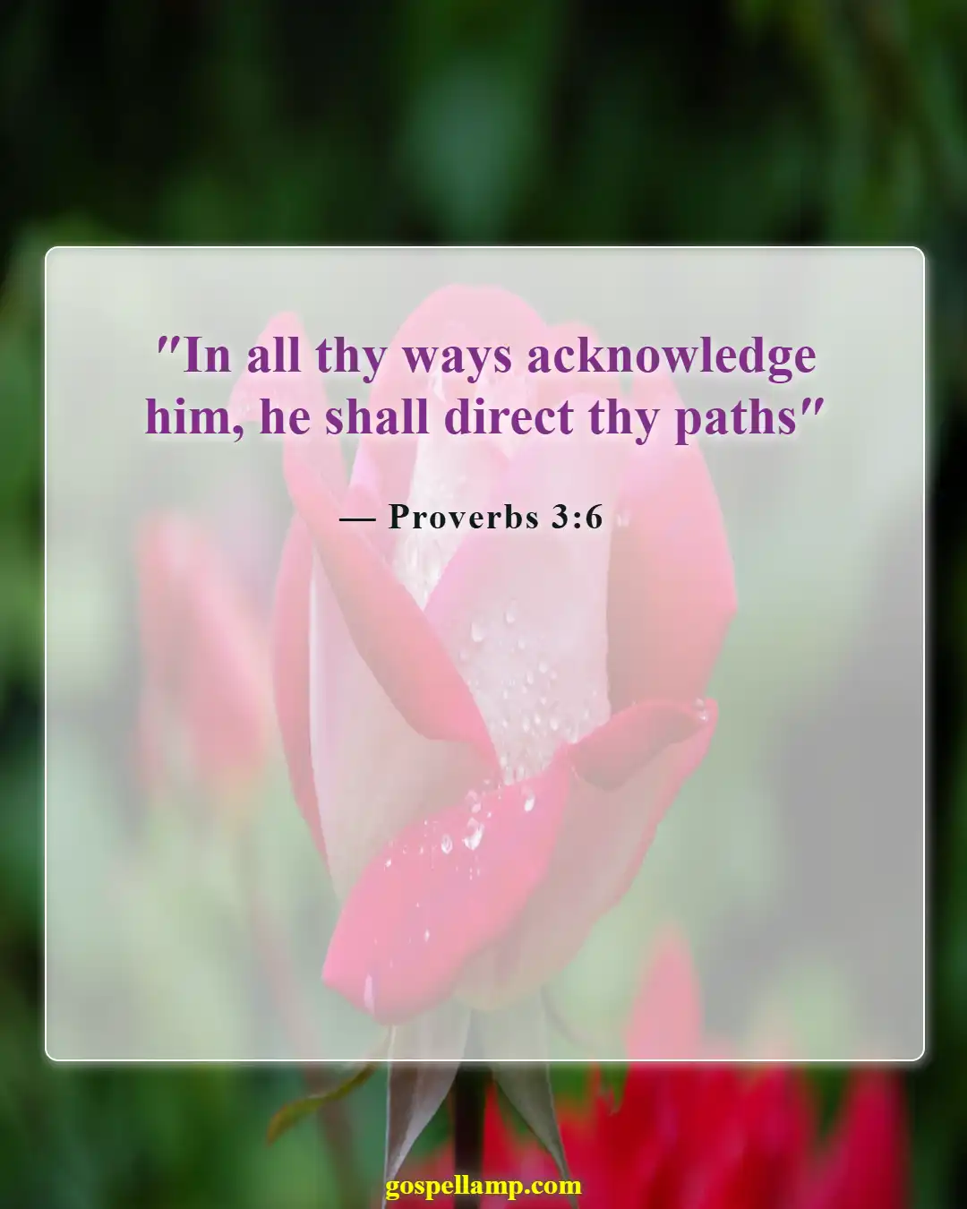 Proverbs 3:6 :- Acknowledge God in all your ways