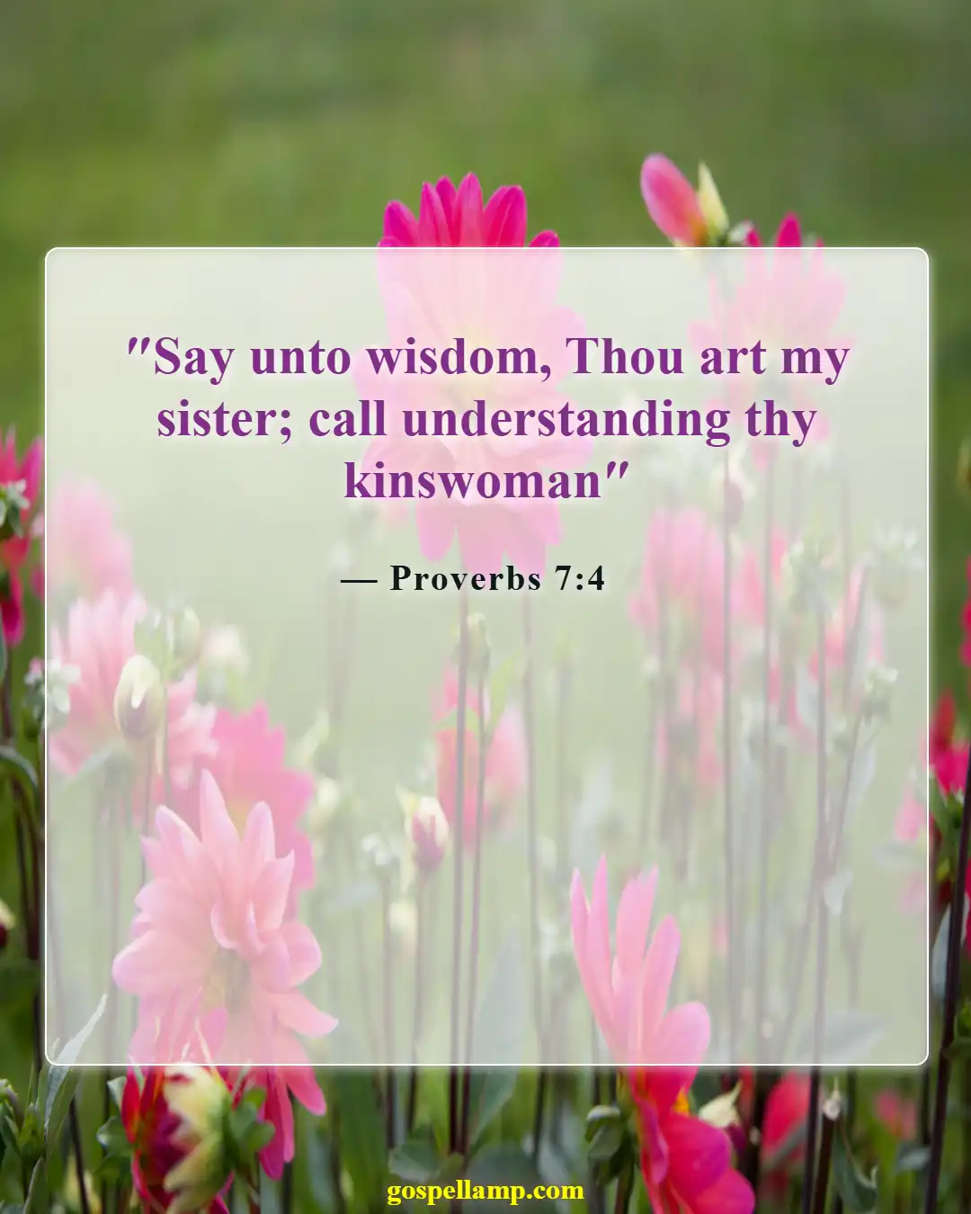 Bible Verses About Sisters (Proverbs 7:4)