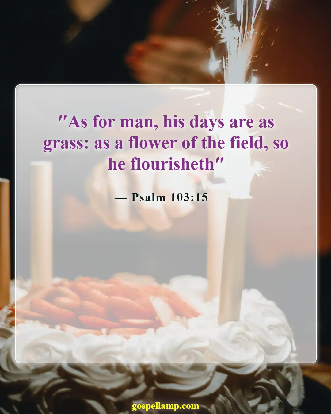 Bible Verses About Flowers Blooming (Psalm 103:15)
