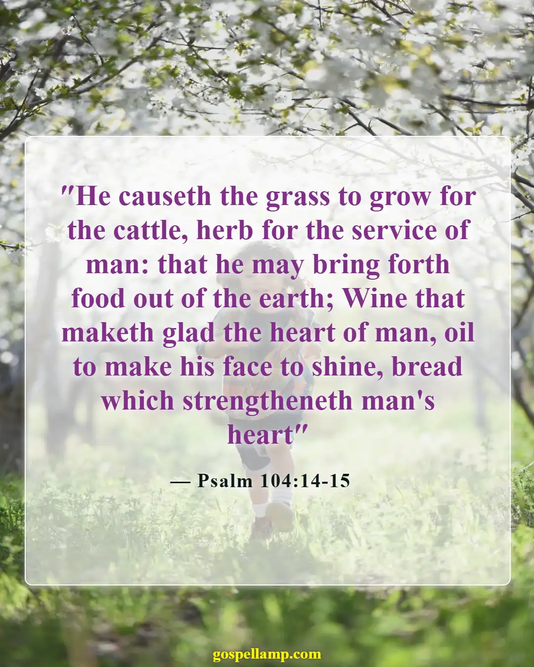 Psalm 104:14-15 :- God provides wine to gladden the heart