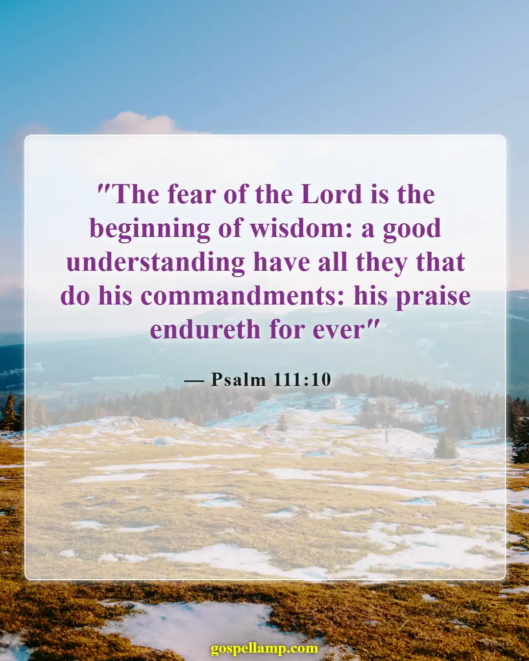 Bible Verses About Stupidity (Psalm 111:10)